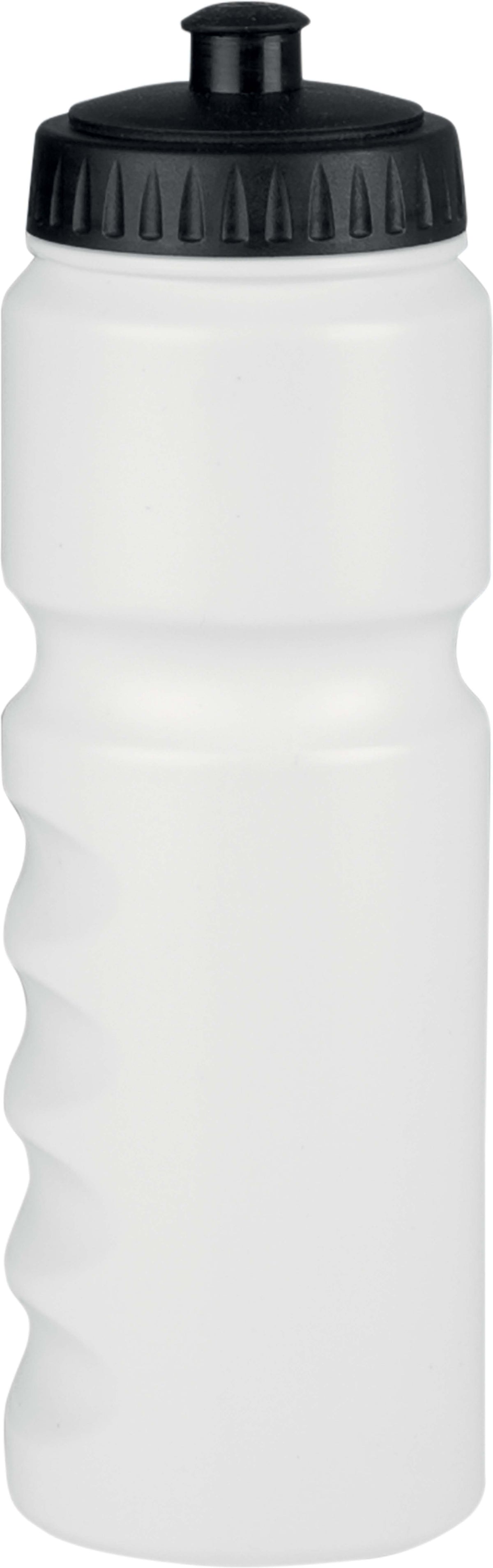 Gourde bidon de sport 750 mL